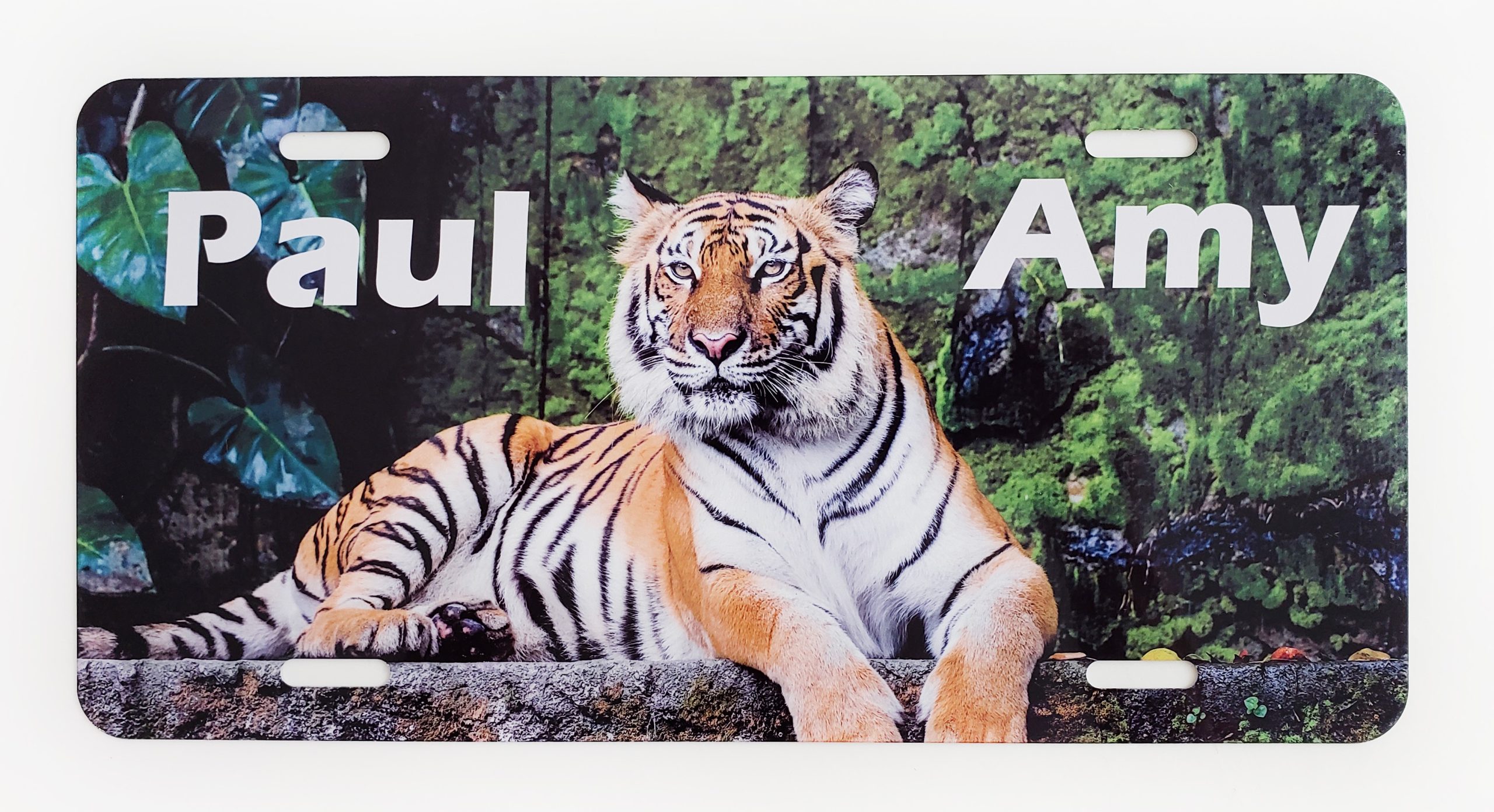 A tiger sitting on the ground in front of trees.