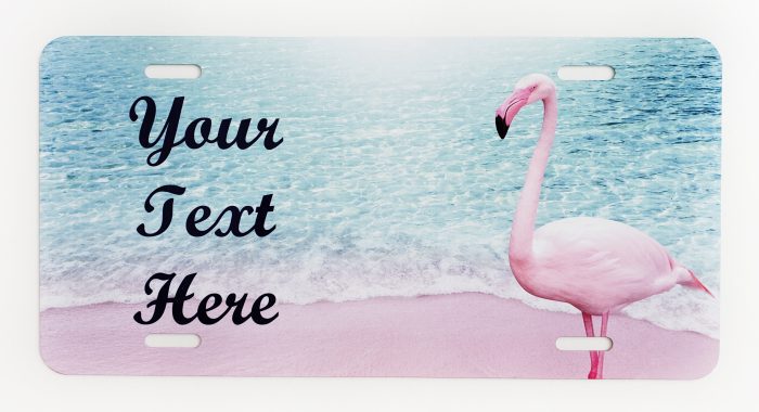 A pink flamingo standing on the beach with water in background.