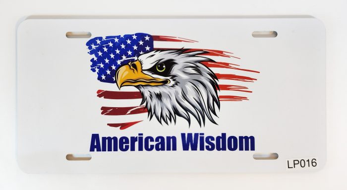 A picture of an american eagle with the words " american wisdom ".