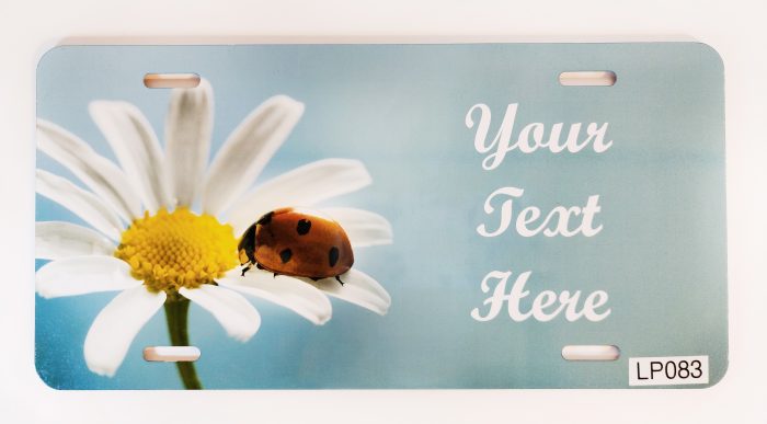 A lady bug on the side of a flower.