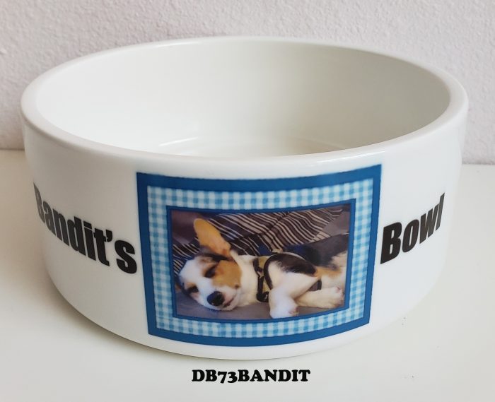 A bowl with a picture of a dog in it.