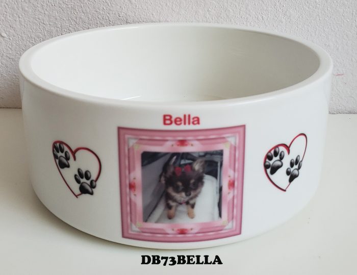 A bowl with a picture of a dog in it.