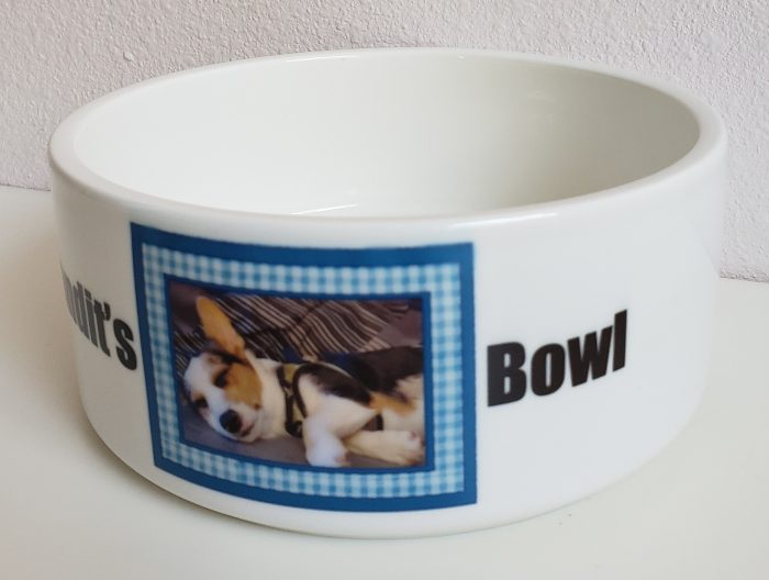 A bowl with a picture of a dog in it.